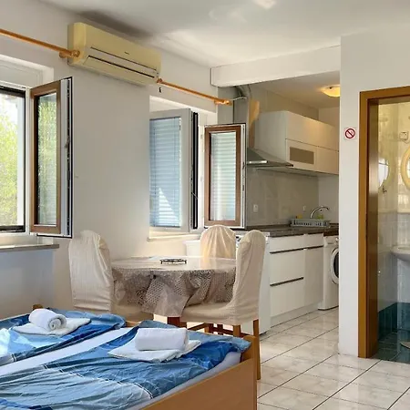 Dolphin Apartment