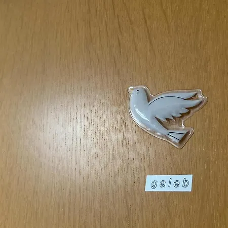 Dolphin Apartamento *